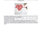 Manuale di Sopravvivenza versione integrale rev_Pagina_11