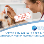 veterinaria senza test