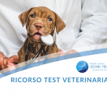 test veterinaria