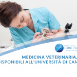 veterinaria