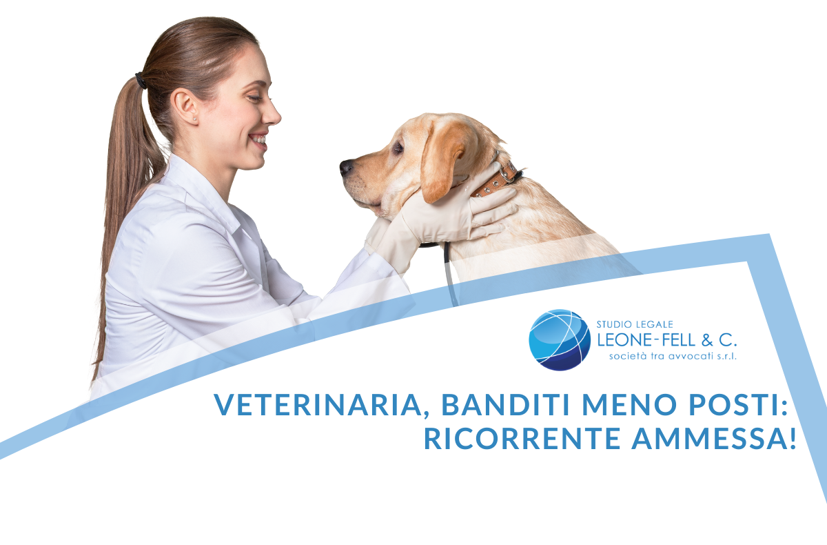 veterinaria