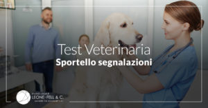 veterinaria