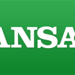 ansa